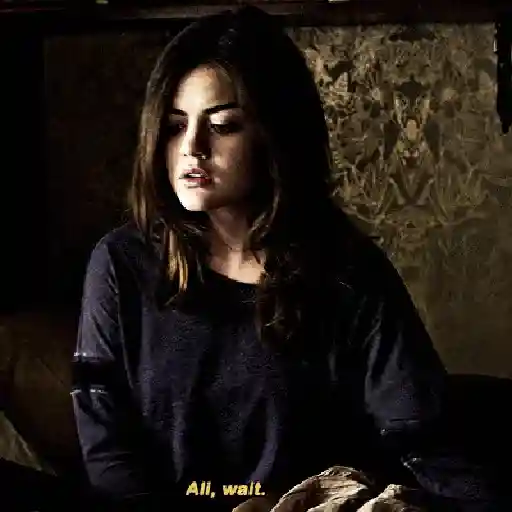 ꒰ 🖇 ꒱ Lucy Hale 13