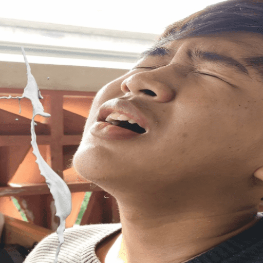 DKV 2