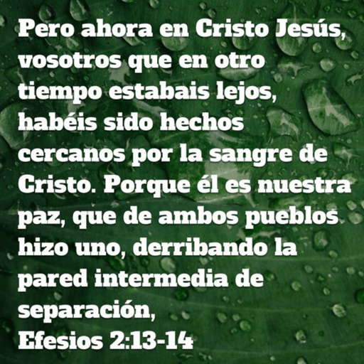 Textos y msjs cristianos❤️RRR 24