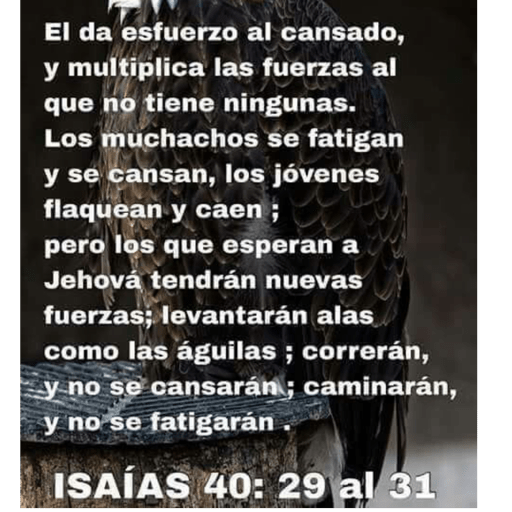 Textos y msjs cristianos❤️RRR 28