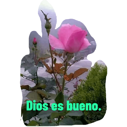 Stickers cristianos 4