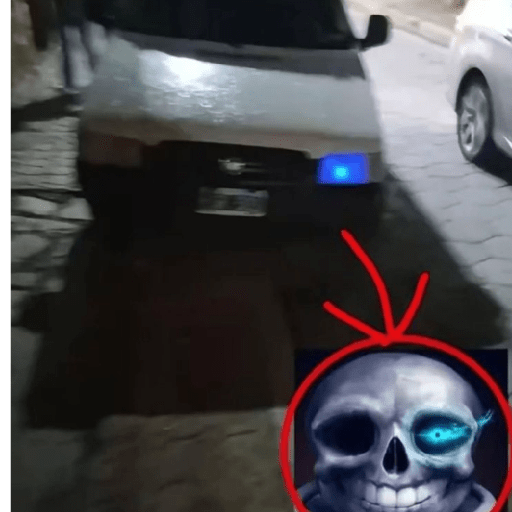 Aleatório 8