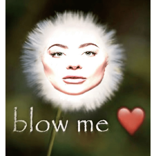 Lady gaga 8