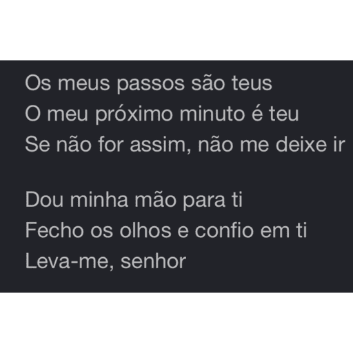 Minhas figurinhass 17