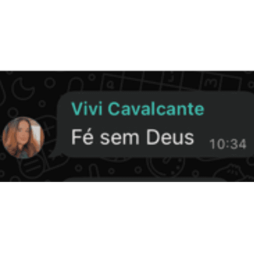 Minhas figurinhass 11