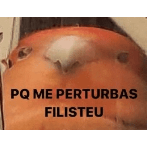 Memes 6
