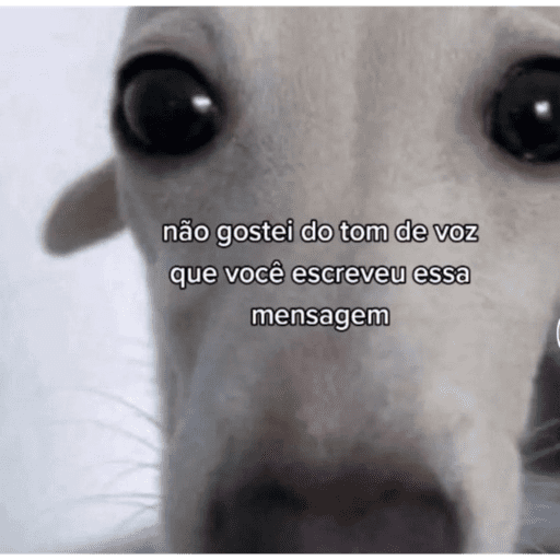 Memes 11