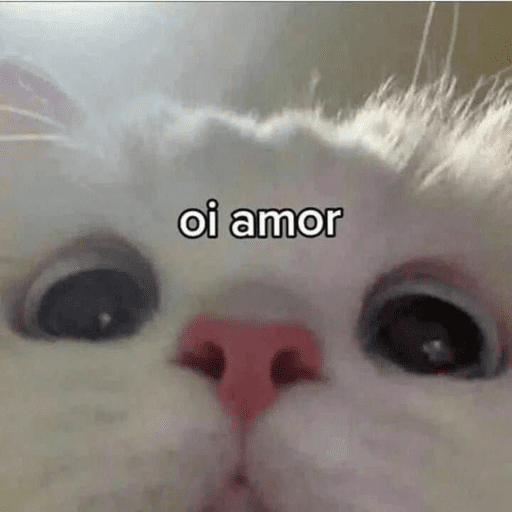 Memes 8