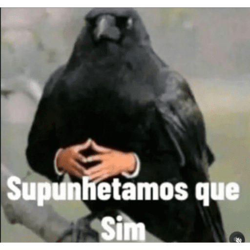 Memes 9