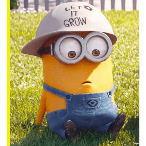 Minions🖤 16