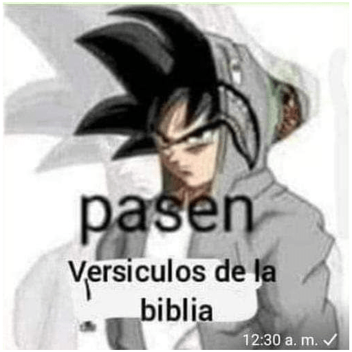 Chicos que que que que 4