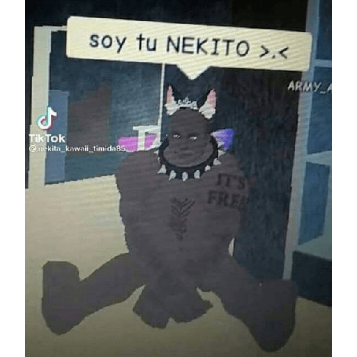Chicos que que que que 17