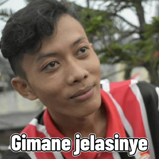 Transfee 11