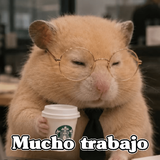 🧿 Hámster🐹 ♥️ 24