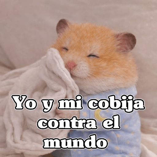 🧿 Hámster🐹 ♥️ 23