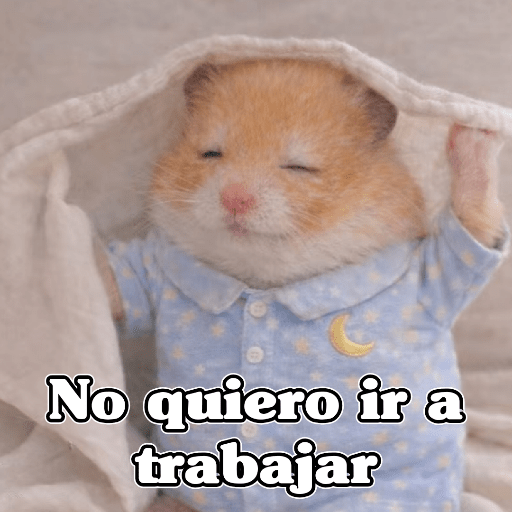 🧿 Hámster🐹 ♥️ 22