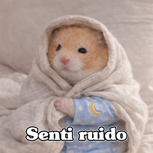 🧿 Hámster🐹 ♥️ 21