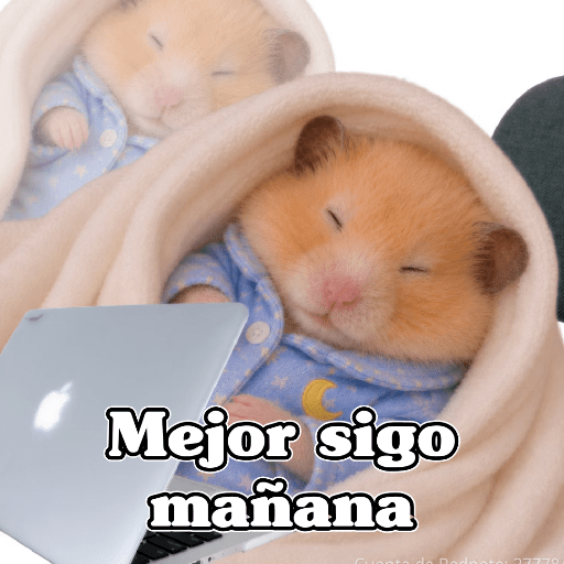 🧿 Hámster🐹 ♥️ 19