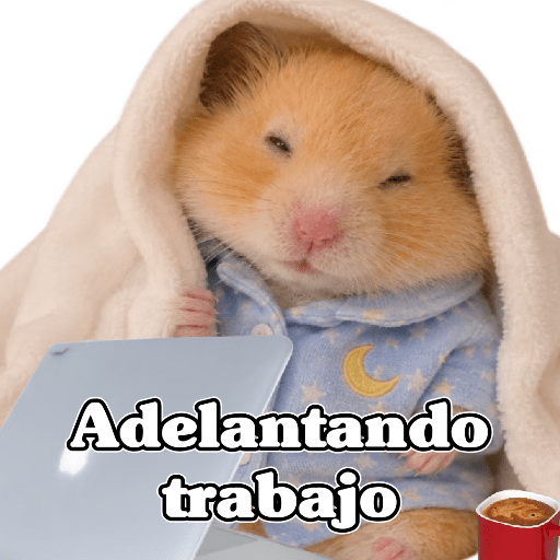 🧿 Hámster🐹 ♥️ 18