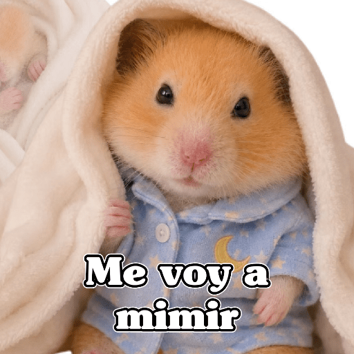 🧿 Hámster🐹 ♥️ 17