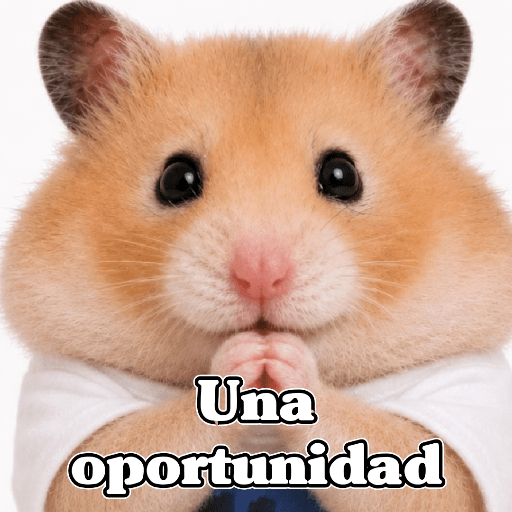 🧿 Hámster🐹 ♥️ 16