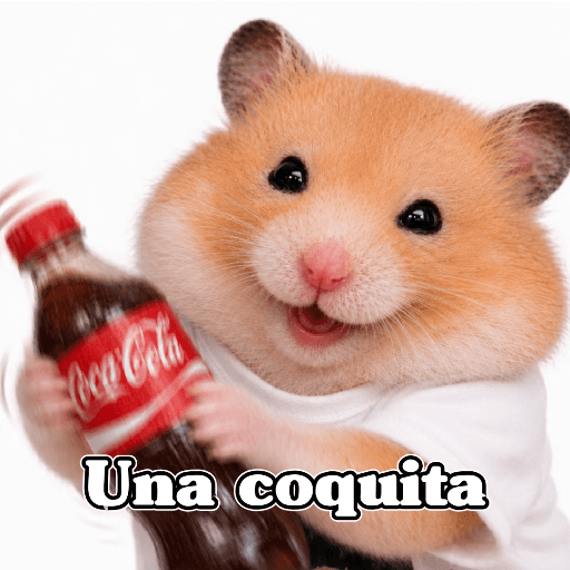 🧿 Hámster🐹 ♥️ 14
