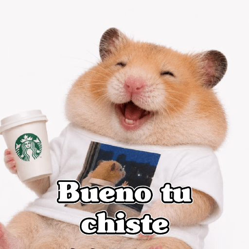 🧿 Hámster🐹 ♥️ 13