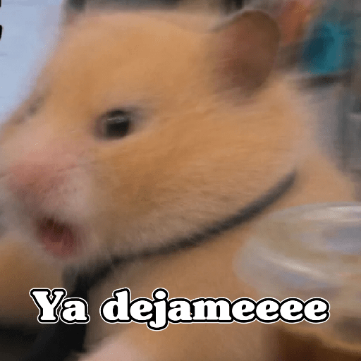 🧿 Hámster🐹 ♥️ 30