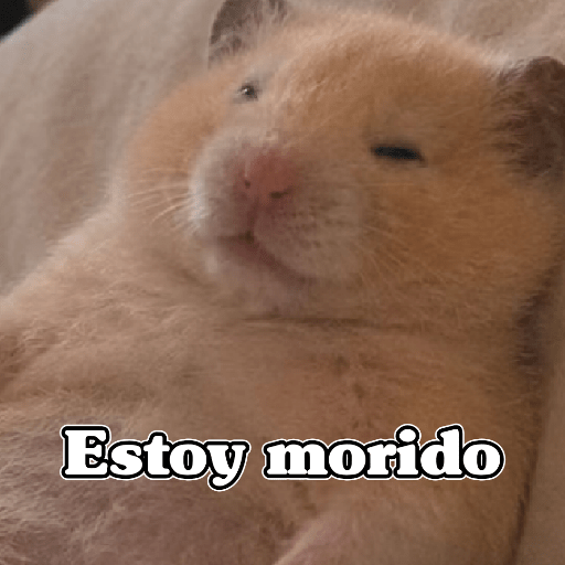 🧿 Hámster🐹 ♥️ 29