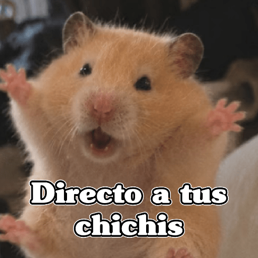 🧿 Hámster🐹 ♥️ 27