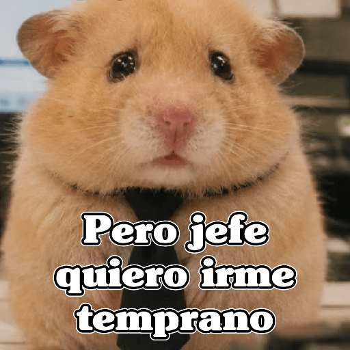 🧿 Hámster🐹 ♥️ 26