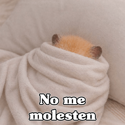🧿 Hámster🐹 ♥️ 7