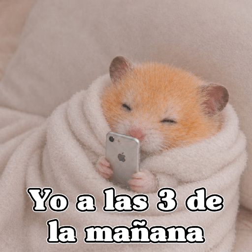 🧿 Hámster🐹 ♥️ 8