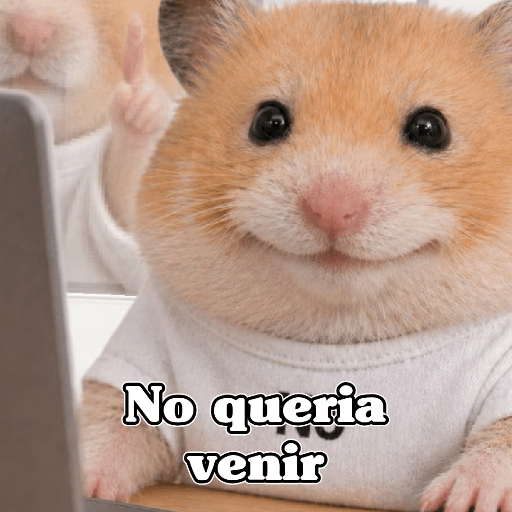 🧿 Hámster🐹 ♥️ 9