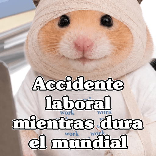 🧿 Hámster🐹 ♥️ 10