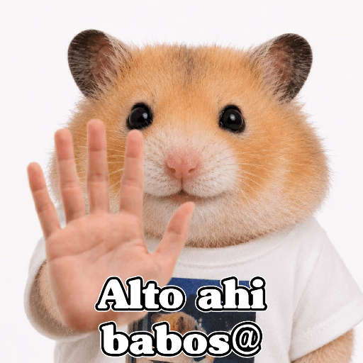 🧿 Hámster🐹 ♥️ 11