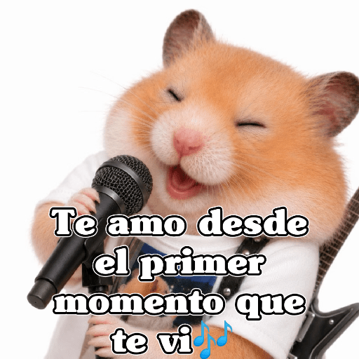 🧿 Hámster🐹 ♥️ 12