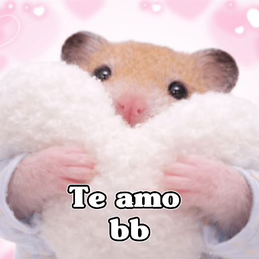 🧿 Hámster🐹 ♥️