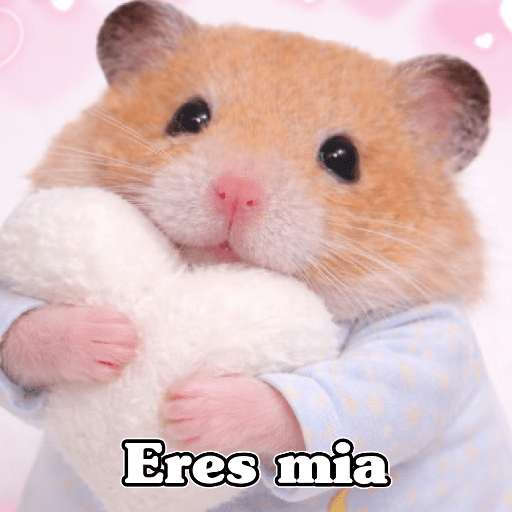 🧿 Hámster🐹 ♥️ 2