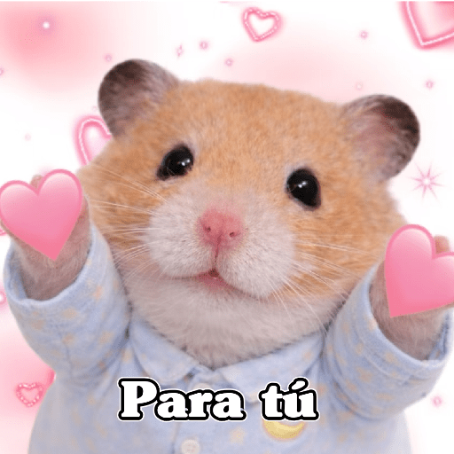🧿 Hámster🐹 ♥️ 4