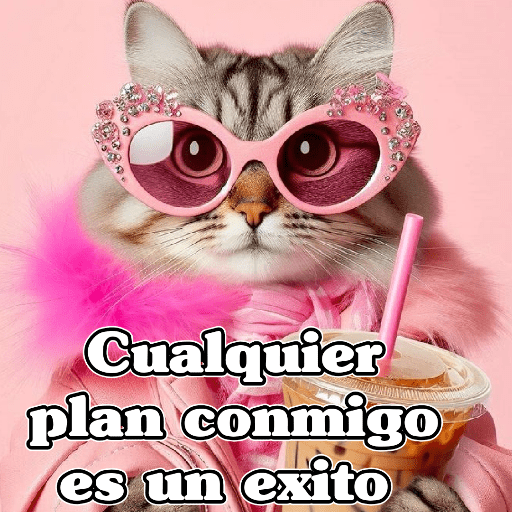 🧿Gatos 🐱Frases 9