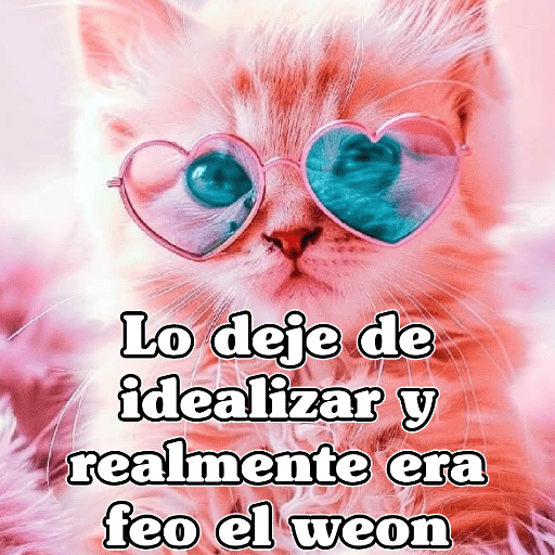 🧿Gatos 🐱Frases 4
