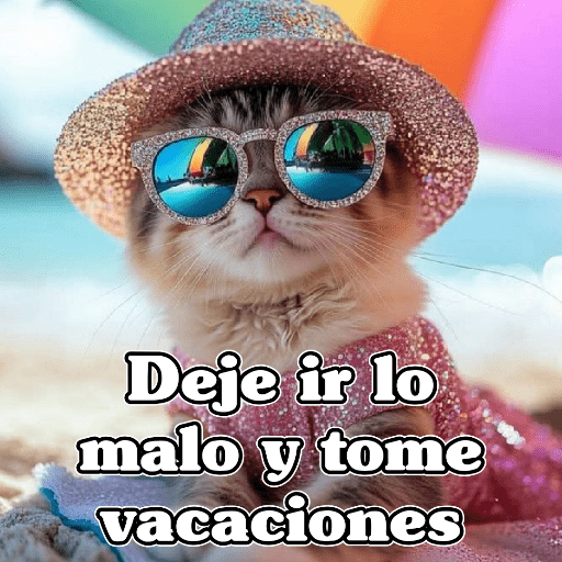 🧿Gatos 🐱Frases 2