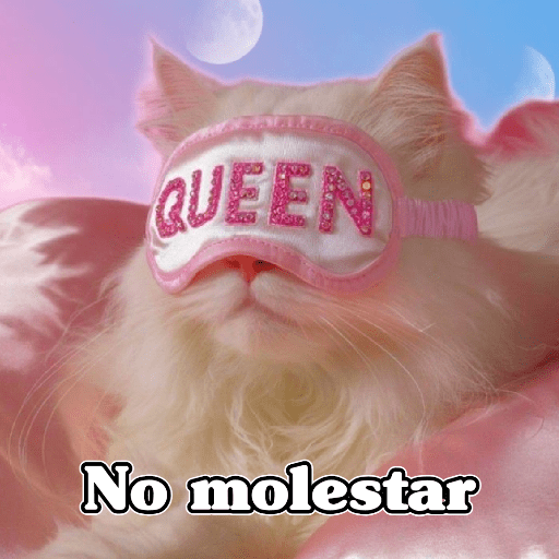 🧿Gatos 🐱Frases 27