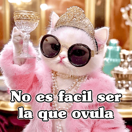 🧿Gatos 🐱Frases 21