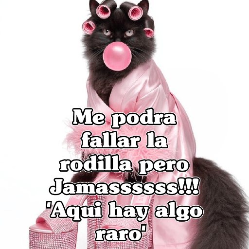 🧿Gatos 🐱Frases 20