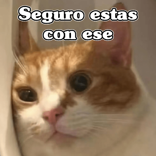 🧿 Gatos Memes 🐈🐱
