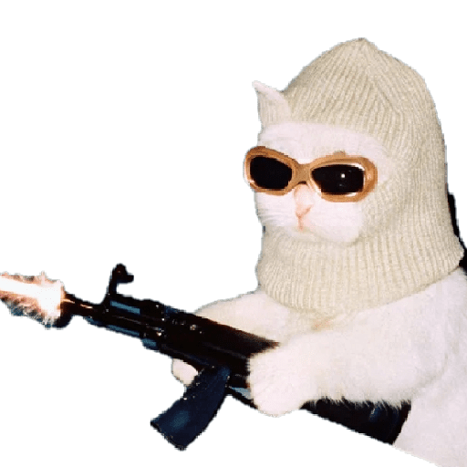 🧿Bang Bang piu piu🔫