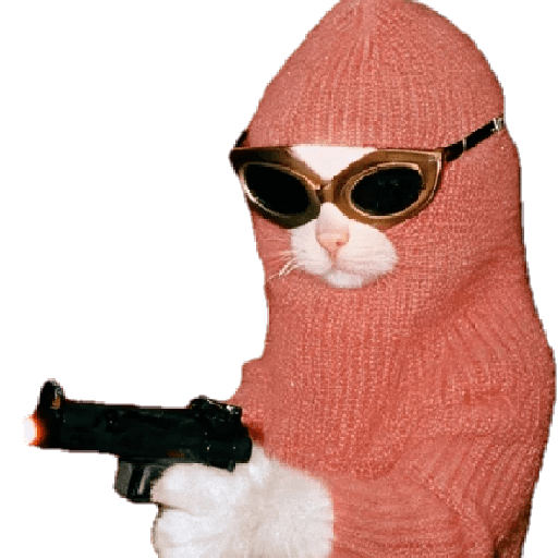 🧿Bang Bang piu piu🔫