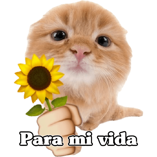 🧿Flores amarillas Cute🌻🌱